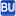 bu.edu.eg icon