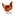 'chickenandchicksinfo.com' icon