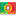 'cidadaniaportuguesa.com' icon