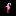 flamingo.shop icon