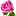 flowergarden.pro icon