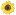 greatsunflower.org icon