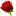 'littleflower.org' icon