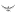 'osprey.com' icon