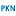 'pkn.pl' icon