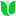 'thegreenpinky.com' icon