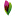'tuinplant.nl' icon