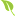 'yourgreenpal.com' icon